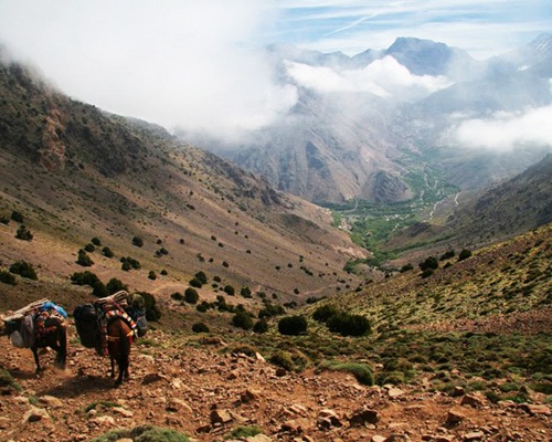 Azzaden Valley Trek