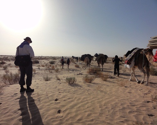 Camel Trekking Across Draa Valle