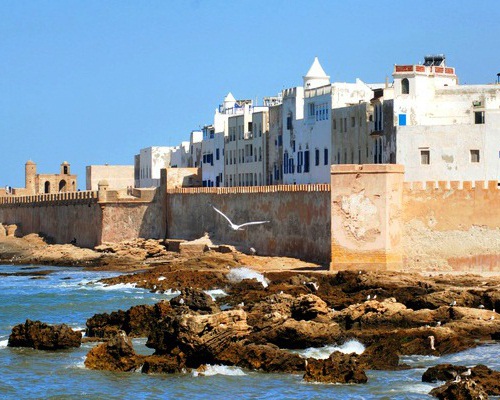 Day Trip to Essaouira